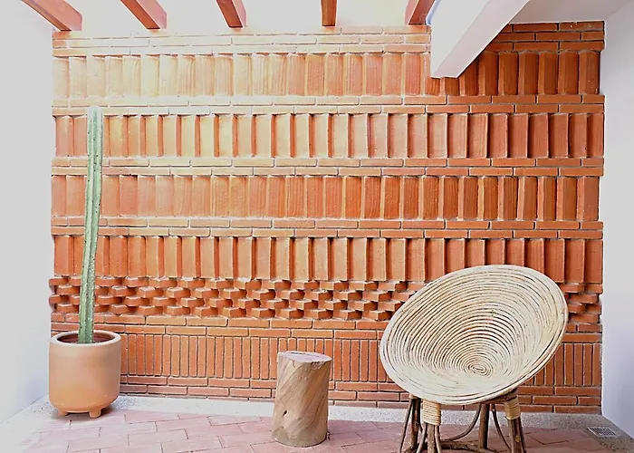 Casa Cronica