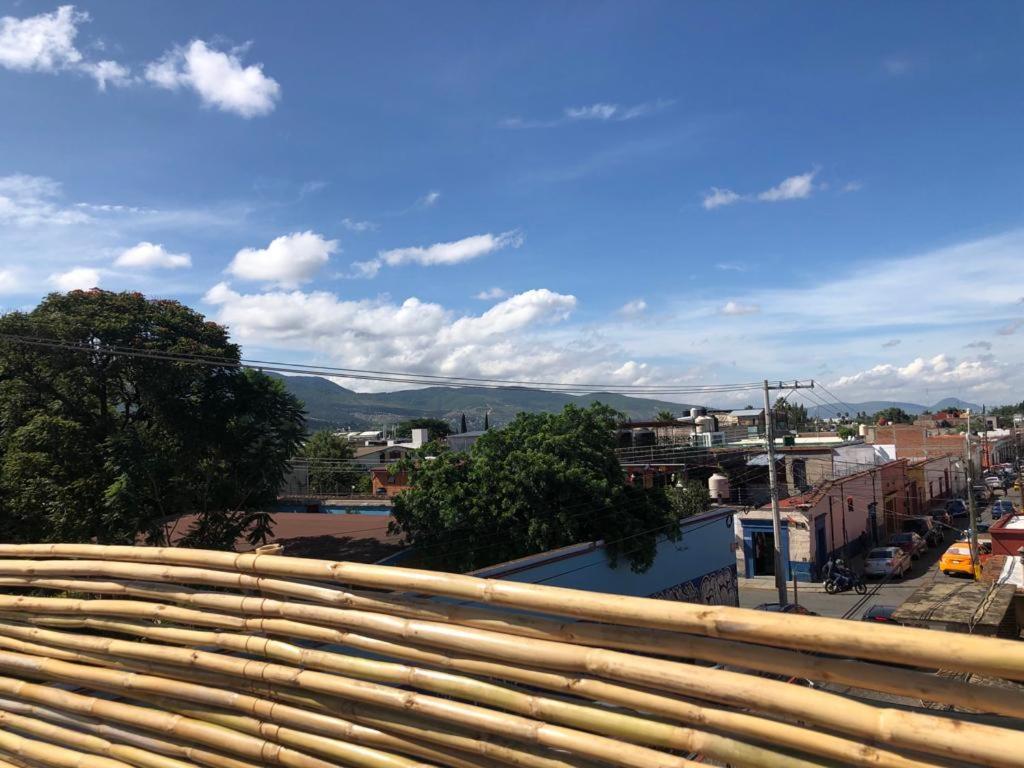 Casa Cronica Homestay