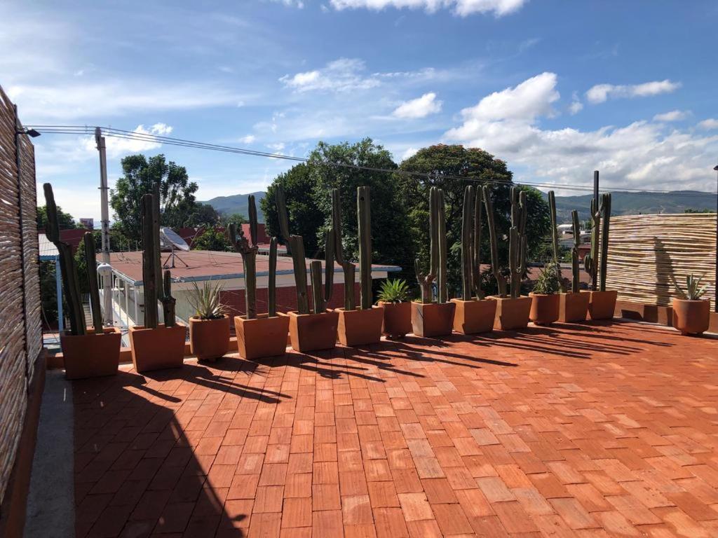 Casa Cronica Homestay *
