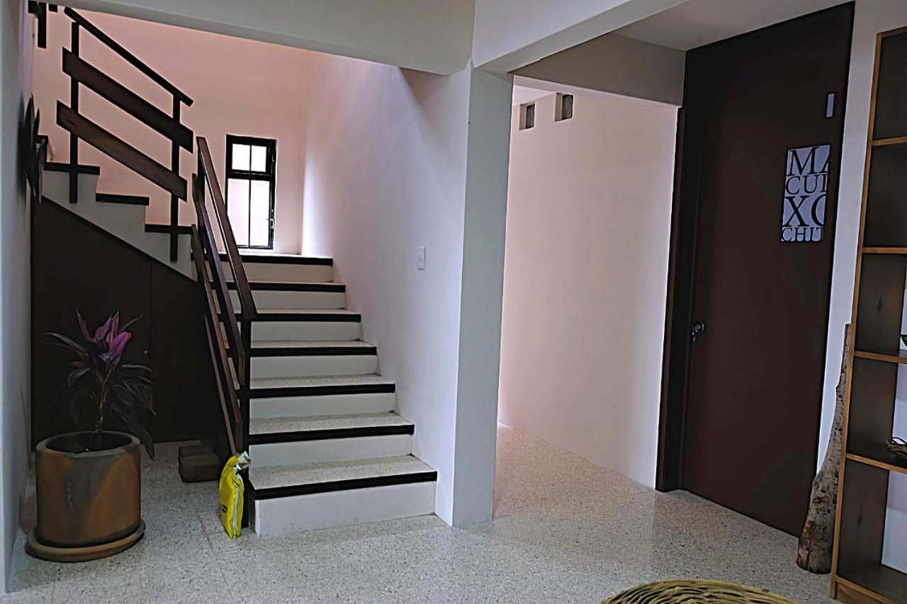 Casa Cronica Homestay *