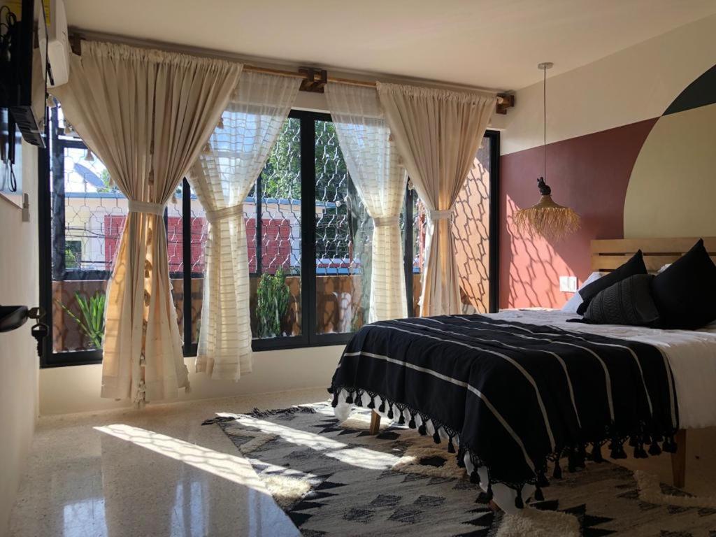 Casa Cronica Homestay Oaxaca