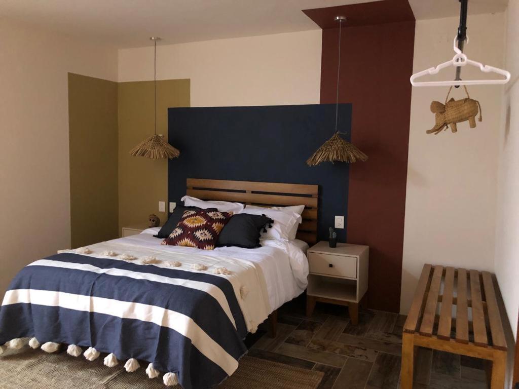 Casa Cronica Homestay